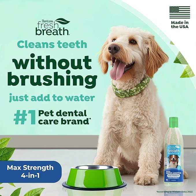 TropiClean Fresh Breath Advanced Whitening Water Additive for Dogs, Max Strength Dog Teeth Cleaning and Breath Freshener Solution, 16oz