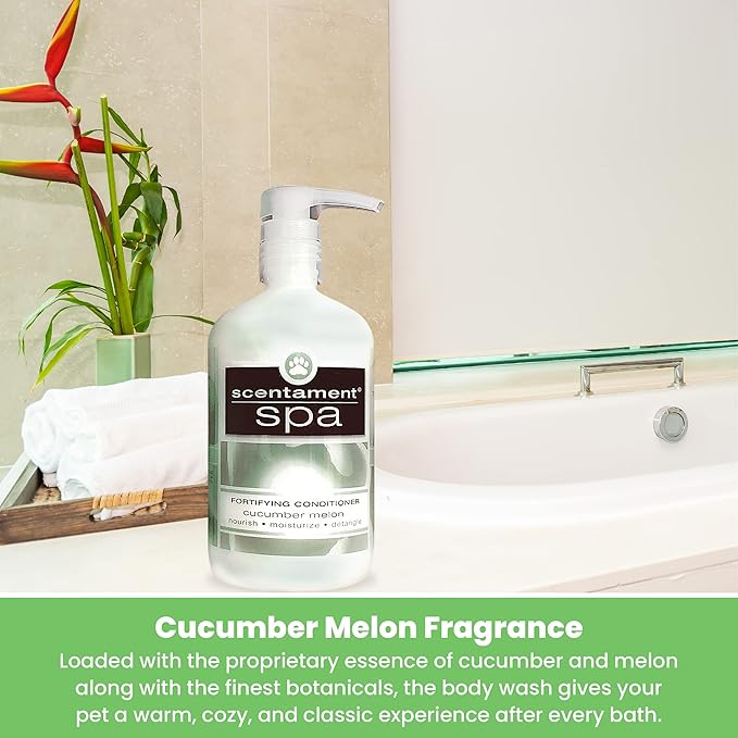 Best Shot Scentament Spa Caressing Body Wash, Cucumber Melon, 16 oz