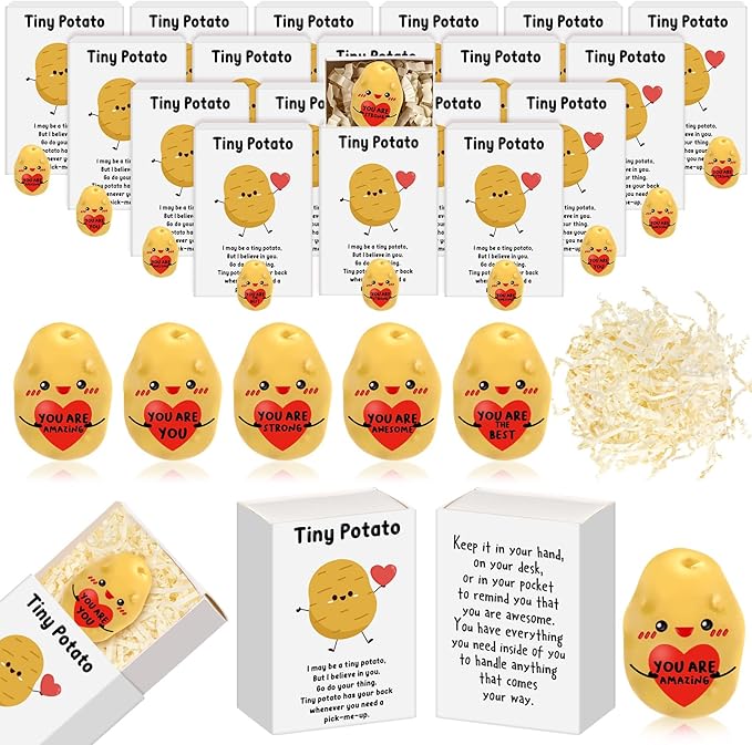 25 Set Employee Appreciation Gifts Bulk Coworkers Thank You Desk Pets Holiday Small Cute Emotional Support Resin Ornaments Card Box for Women Men Adults Office (Heart Potato)