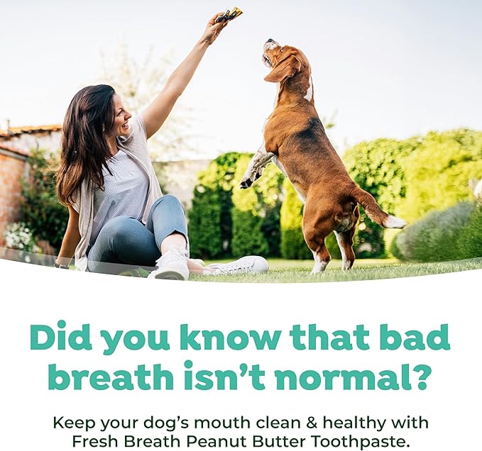 TropiClean Fresh Breath - Kong Dental Ball for Medium Dogs - Dog Teeth Cleaning Kit - Removes Plaque - Peanut Butter & Honey Dog Toothpaste, 1oz