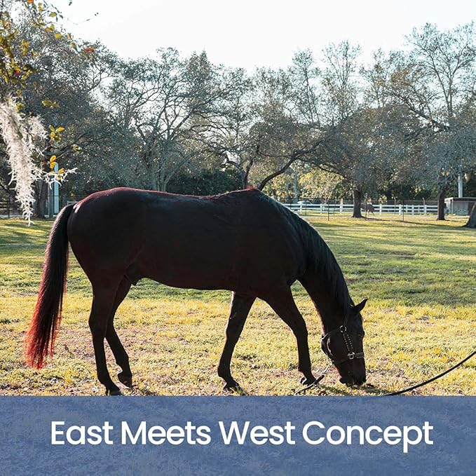 Holistic Natural Derived Allergy Pet Shampoo: Veterinarian Recommended: Soothing Skin Allergies and Skin Issues for Dogs, Cats and Horses - Made in USA - 16 oz