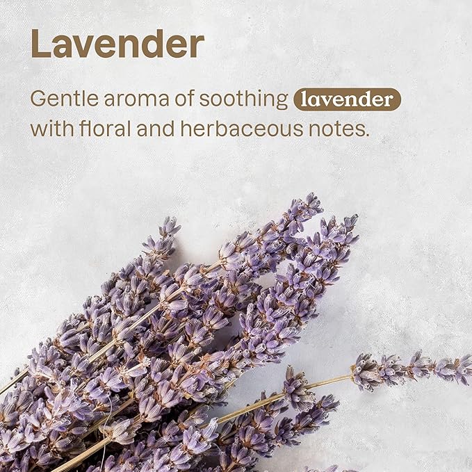 ATTITUDE Natural Itch Soothing Shampoo for Cat & Dog, Vegan and Cruelty-Free, Grooming Products, Lavender, 16 Fl Oz (Pack of 4)