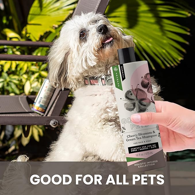 Holistic Natural Derived Cherry Blossom & Green Tea Pet Shampoo: Veterinarian Recommended - Remove Dirt and Condition Your Dog, Cat and Horse Coat - Made in USA - 16 oz