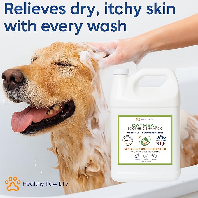 Healthy Paw Life Oatmeal Shampoo – Vet-Recommended Itch Relief for Dogs, Cats & Horses – Hypoallergenic, Moisturizing & Deodorizing – 1 Gallon – Made in USA
