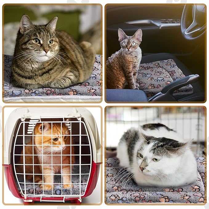 4 Pack Ultra Soft Dog Cat Bed Mat with Cute Prints Reversible Fleece Dog Crate Kennel Pad Cozy Washable Thickened Hamster Guinea Pig Pet Bed Mat for Small Animals(23 x 18 Inches,Gray)