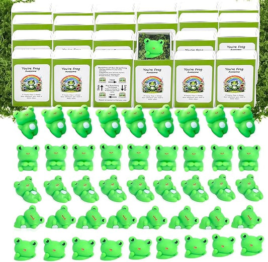 10 Set Positive Frog Gifts Bulk Employee Appreciation Gifts Box Breathing Gift Bulk for Coworker Team Back to Desk Pets Thank You Teacher Frog Ornaments with Cheer up Card Box