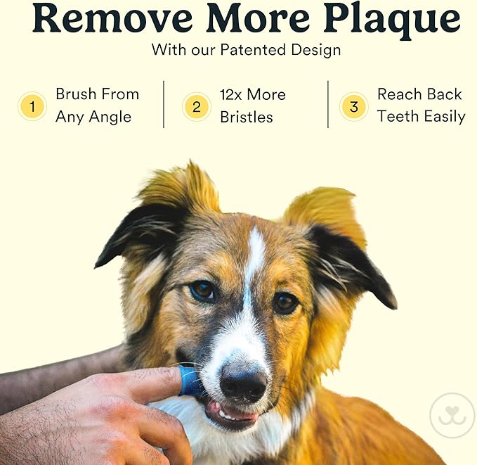 Jasper Dog Toothbrush, 360 Degree Pet Tooth Brushing Kit, Cat Toothbrush, Canine Dental Care & Teeth Cleaning Kit, Pet Finger Tooth Brush, Use with Dog Toothpaste, 16-Pack Blue