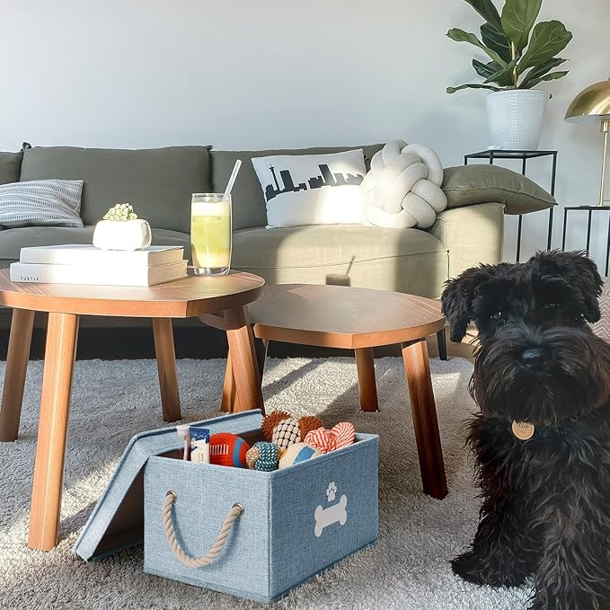 Dog Toy Basket with Lid, Dog Basket for Toys, Dog Toy Box with Cotton Rope Handles, Collapsible Storage Bins for Dog Toys, Dogs Storage Organizer, Blue