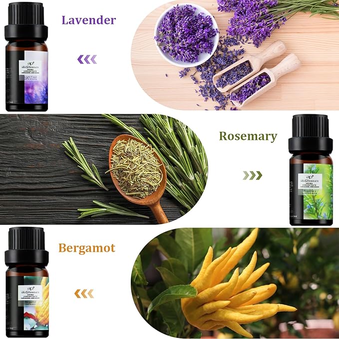 Fresh Essential Oils Set, 6x10ml Aromatherapy Oil Gift Kit for Diffuser, Fragrance, Humidifiers, Air Purifier- Tea Tree, Bergamot, Rosemary, Lavender, Lemon, Peppermint