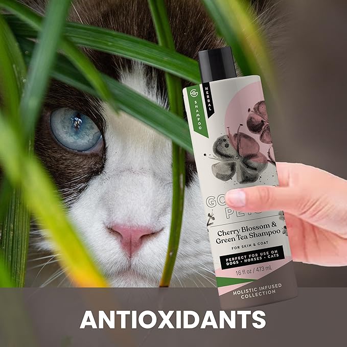 Holistic Natural Derived Cherry Blossom & Green Tea Pet Shampoo: Veterinarian Recommended - Remove Dirt and Condition Your Dog, Cat and Horse Coat - Made in USA - 16 oz