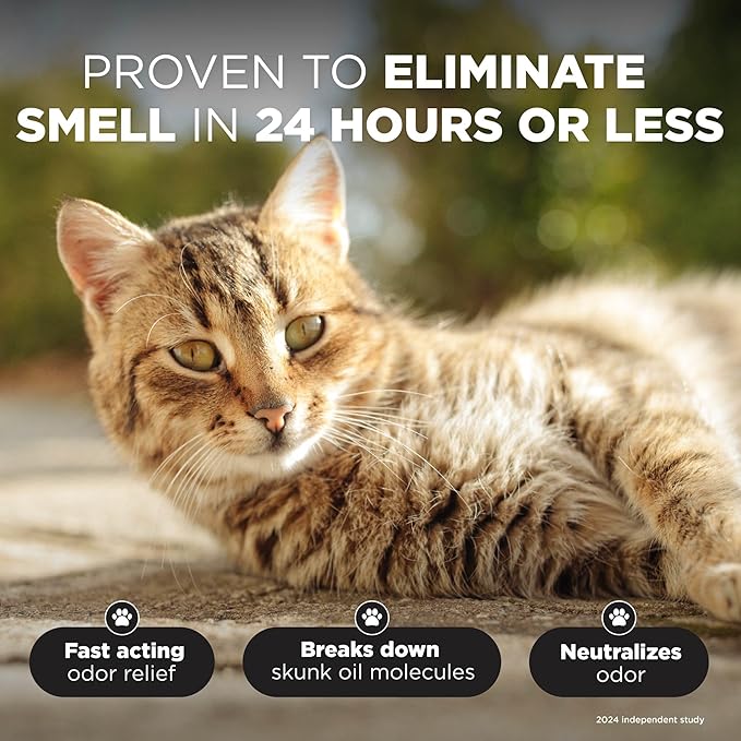 TropiClean Deodorizing Skunk Shampoo for Dogs - Extra Strength Skunk Odor Remover - 24 Hour Fast Relief - Gallon