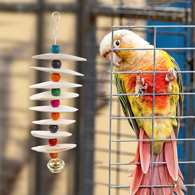 2 Pack Bird Toys with Cuttlebone, Parakeet Toys, Bird Beak Grinding Stone, Cage Accessories for Parakeets, Cuttlefish Bone for Budgies, Cockatiels, Lovebirds, Green Cheeks, Small to Medium Birds