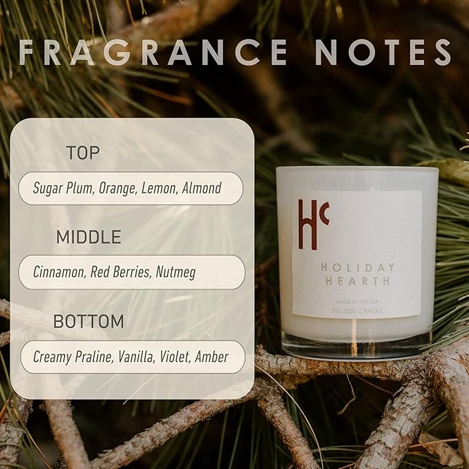 Holiday Hearth Single Wick Soy Candles, Luxury Scented Candles for Home - Up to 60 Hour Burn Time, Cruelty-Free Soy Wax Blend - Frosted Sugar Plum & Cinnamon Fragrance (9 oz)