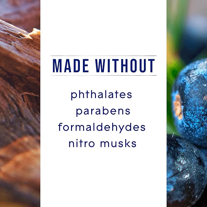 Glade PlugIns Refills Air Freshener, Juniper & Teak, Scented and Essential Oils for Home and Bathroom, 0.67 Fl Oz, 10 Count