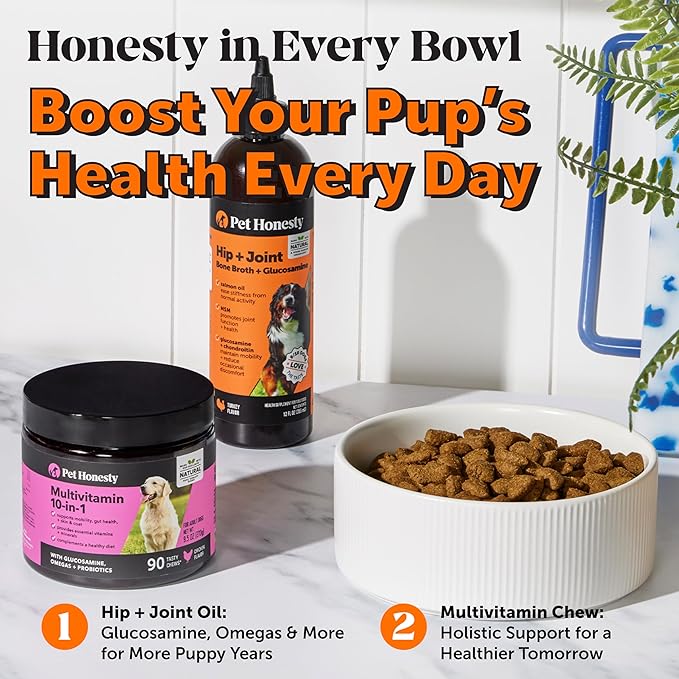 Pet Honesty Dog Joint Supplement with Salmon Oil for Dogs - Ease Stiffness, Reduce Discomfort & Support Joint Mobility Liquid Supplement, Dog Food Topper Bone Broth with Glucosamine for Dogs (12 oz)