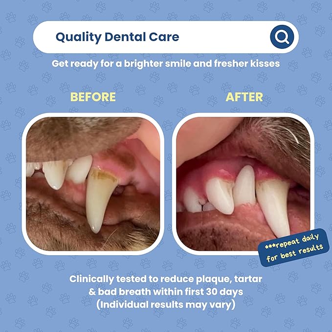 Dog Dental Powder | All-Natural for Teeth Cleaning | Plaque Remover for theeth and Breath freshener | Flavorless, Easy to Use | 3.17 oz - 45 supplys | Smile 2 Life