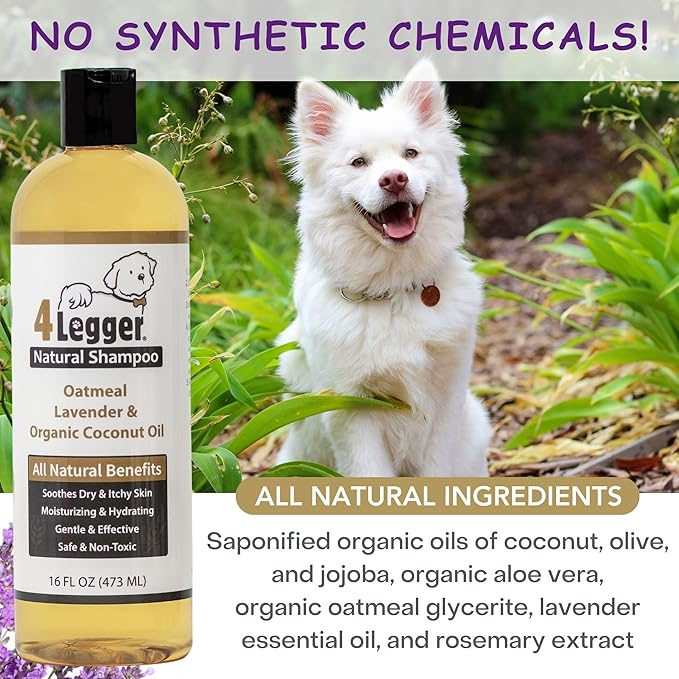 4Legger All Natural Organic Oatmeal Dog Shampoo for Itchy Skin with Aloe, Coconut & Lavender Essential Oil, Hypoallergenic, Moisturizing for Normal, Dry, Itchy, or Sensitive Skin, USA Made, 16 oz