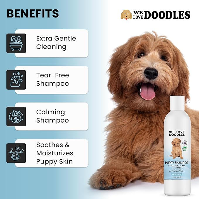 We Love Doodles 100pcs Dog Teeth Cleaning Wipes & Puppy Shampoo Bundle - Pet Dental Finger Wipes for Dogs, Organic Ingredients, Tear Free, Shampoo for Puppies, Sensitive & Itchy Skin Wash
