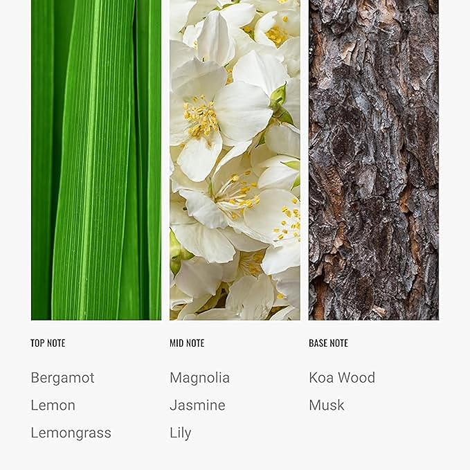 Hotel Collection Diffuser Oil - 24K Magic - Aromatherapy Essential Fragrance Oil - Citrus, Lemongrass, and Jasmine - 200mL 6.7 Fl oz