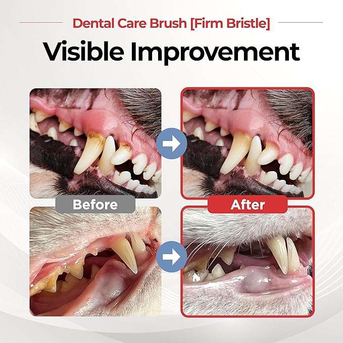 JAYU PET Dental Care Brush (Firm Bristles) 3ea - Resilient Dog Toothbrush, Cat Toothbrush for Tartar & Plaque Removal, Horizontal Head and S-Curved Body