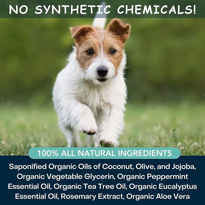 4Legger Organic Dog Shampoo, Cooling Peppermint Tea Tree Dog Shampoo for Skin Conditions and Hot Spot - 16 oz
