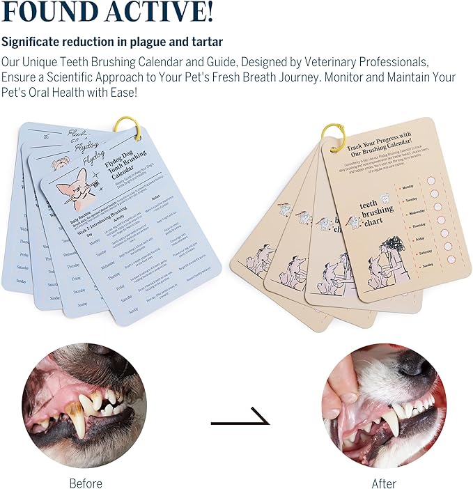 FlyDog Fresh Kiss Dog Tooth Brushing Kit - Vet Approved Formula, Enzymatic Dog Toothpaste and Brush - Breath Freshener & Tartar Remover, 360° Toothbrush & Finger Brush, Dental Guide, Coconut Flavor