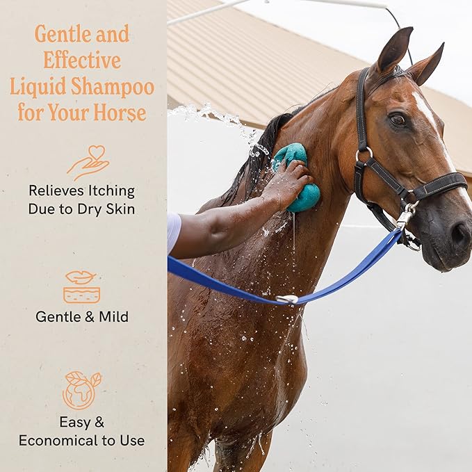 JR Liggett’s Liquid Botanical Horse Shampoo for Sensitive Skin - 100% Detergent-Free, Non-GMO Formula - Gently Deep Cleans and Nourishes Healthy Skin, Mane & Tail - 16.9 fl oz