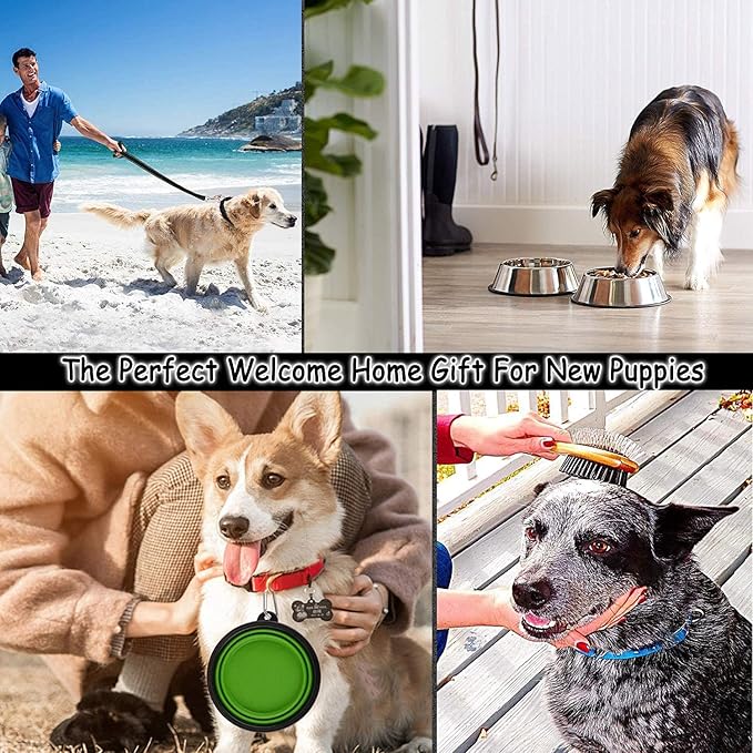 Puppy Supplies Starter Kit - 39-Piece Set of Puppy Essentials and Dog Stuff. Includes Dog Leash, Toys, Bowl, Brushes, Water Bottles,and More. Perfect Welcome Home Gift for Your New Puppies