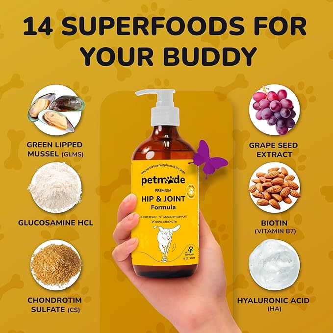 Hip and Joint Supplement for Dogs - Glucosamine Chondroitin for Dogs - Extend Joint Care, Flexibility Support & Bone Strength - With MSM, Hyaluronic Acid, Vitamin B12, B6, B1 & More - 16 Fl Oz