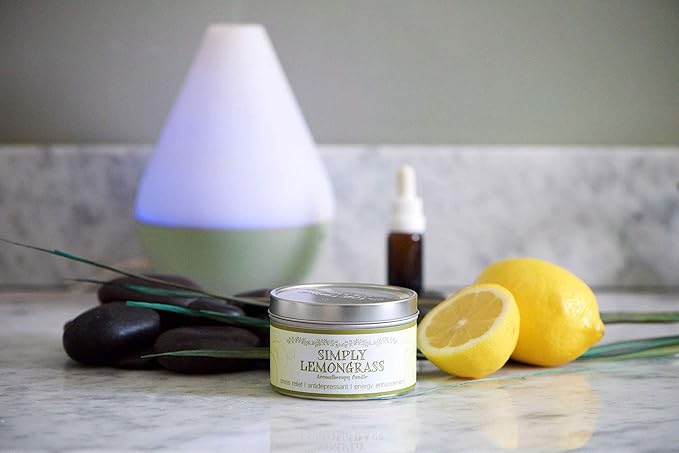 Our Own Candle Company - Sex On The Beach Scented, Premium Grade Home Fragrance Oil for Diffusers (2oz)