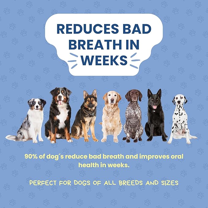 Dog Dental Powder | All-Natural for Teeth Cleaning | Plaque Remover for theeth and Breath freshener | Flavorless, Easy to Use | 3.17 oz - 45 supplys | Smile 2 Life