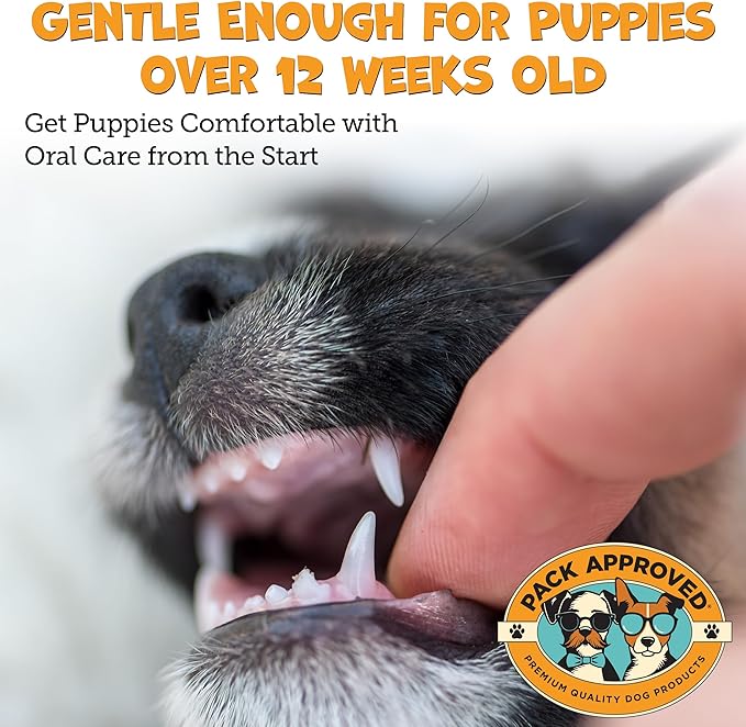 Dental Wipes for Dogs - Dog Teeth Wipes for Oral Care, Tartar and Plaque Remover - Cleans and Freshens Breath for Dogs with Fresh Apple & Mint Scent - Dog Teeth Cleaning Pads – 100 Count