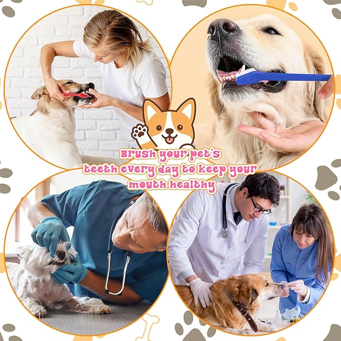 Honeydak 600 Pcs Dog Toothbrush Bulk Dual Headed Dental Brushes Dogs Tooth Brushing Kit Long Handle Pet Tooth Brush for Puppy Large Small Cats Most Pets Teeth Cleaning Dental Care Supplies, 15 Colors
