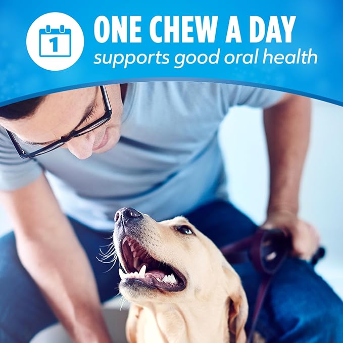 DentaLife Daily Oral Care Dog Treats for Small Dogs 5-20 lbs., Chewy Dental Treat to Freshen Breath and Fight Tartar, Chicken Flavor, 14.7 oz. each, 45 Chews each/90 Total Chews - 45 ct. Pouch