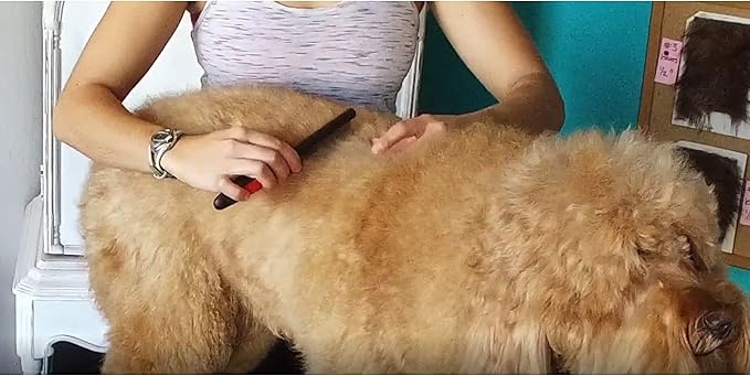 Ryan's Pet Supplies Paw Brothers Flea Comb for Small and Large Dogs and Cats with Handle, Professional Dog Grooming Kit and Supplies, Puppy Essentials, Black and Red, 8.8 Inches