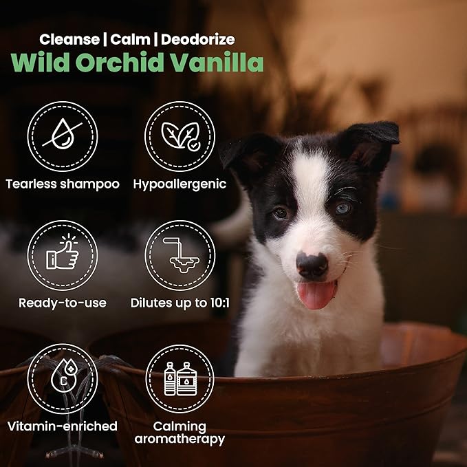 Best Shot Scentament Spa Caressing Puppy Wash, Wild Orchid Vanilla, 1 Gallon