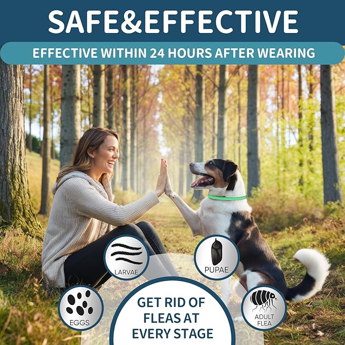 4 Pack Flea Collar for Dogs, Flea and Tick Collars for Dogs, 32 Months Flea and Tick Prevention for Dog, Dog Flea and Tick Treatment, Water-Resistant & Adjustable Flea Collar - Green&Yellow