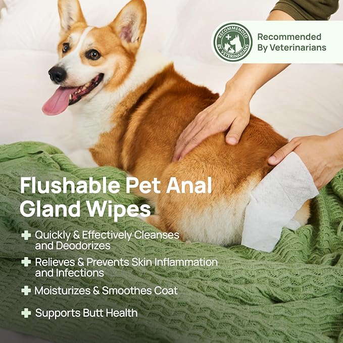 HICC PET Wipes for Dogs & Cats, Vet Recommended Cleaning Deodorizing & Soothing Allergy Infections Anal Gland Wipes, Hypoallergenic Hydrating & Nourish Fur Dog Grooming Wipes for Paw, Butt, Body