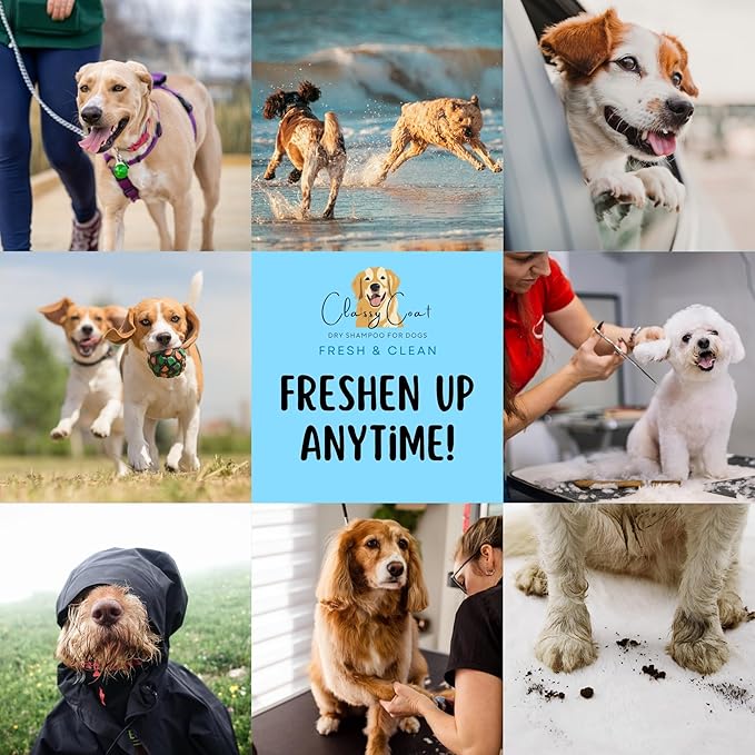 Dry Shampoo & Coat Deodorizer for Dogs (Fresh & Clean) | Waterless No-Rinse Squeeze Bottle Powder Formula | Calming Lavender Scent | Talc and Alcohol Free | Safe for Sensitive Skin | Made in USA