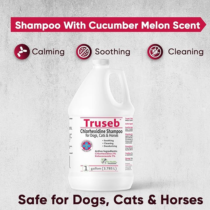 Truseb All Natural Topical Ketoconazole and Chlorhexidine Shampoo for Dogs, Cats & Horses with Aloe Vera Shampoo and Conditioner(Ketoconazole & Chlorhexidine Shampoo, 1 Gallon)