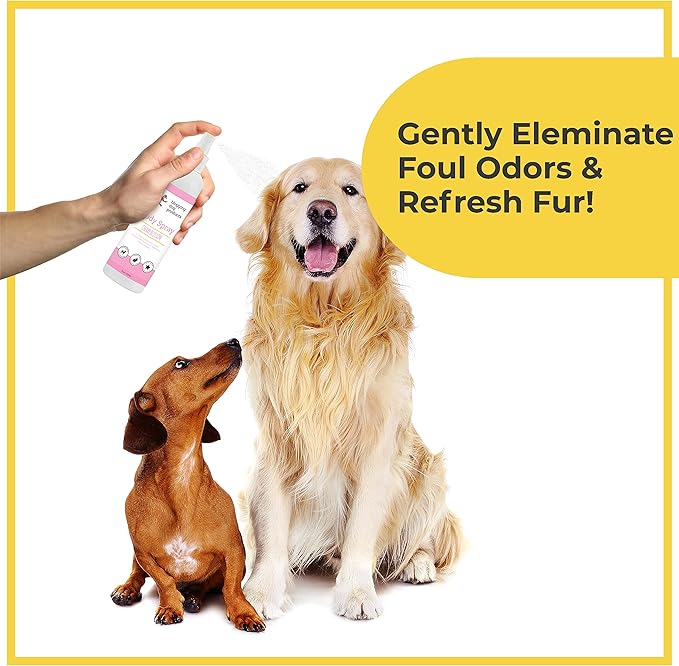 Dog Deodorizing Spray – Pina Colada Scented Dog Perfume for Smelly Dogs – Safe, Refreshing Grooming Spray Pina Colada Dog Cologne & Odor Eliminator – Long‑Lasting Tropical Freshness for Dogs