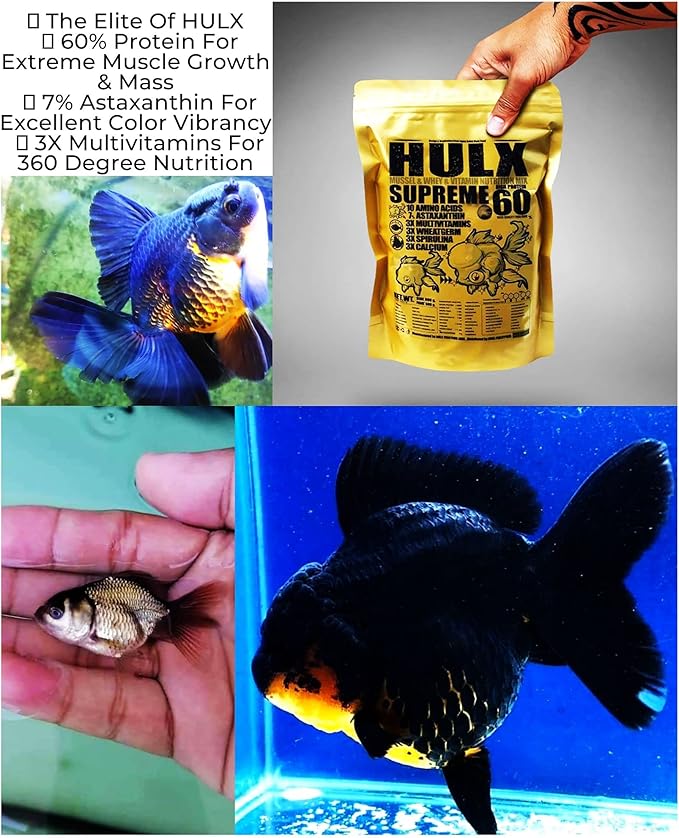 HULX Goldfish Food Sinking Pellets for Big Muscle & Mass Weight Gain, Whey Mixed High Protein 60%, Astaxanthin 7% Fish Food Growth Fast Formula 1.32 Lb.(600 Gram.) 1mm, Healthy, Color Enhancing