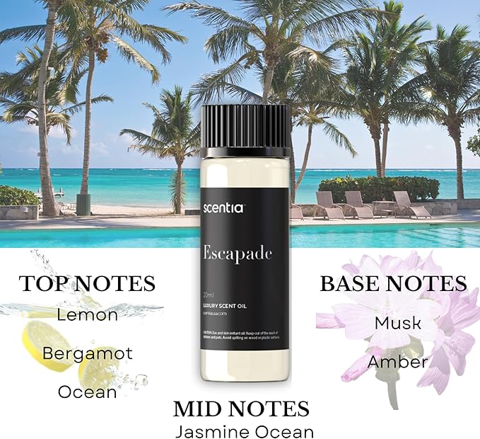 Scentia Hotel Inspired Collection Diffuser Oils – 3×20ml Aromatherapy Set | Luxury Scents Inspired by 5-Star Hotels | Gift-Ready Essential Oil Blend - Thanksgiving & Holiday Gift