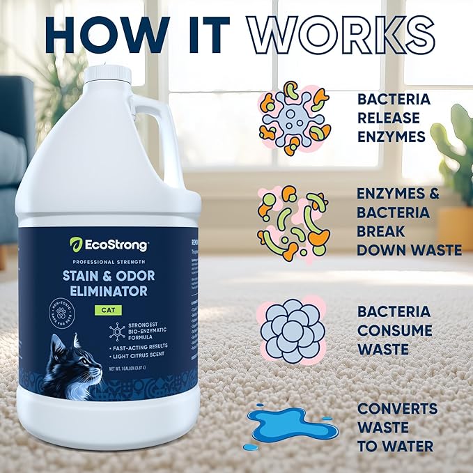 Cat Stain And Odor Remover| Enzyme Urine Odor Neutralizer - Stain Remover for Carpet, Litter Boxes, Bedding, and Laundry [Citrus Scent Gallon Value Size]