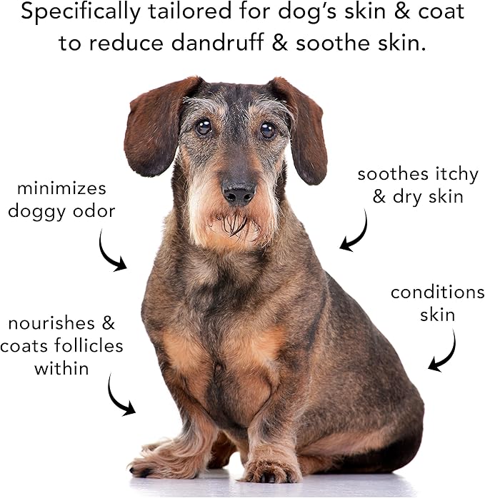 Pride and Groom The Sensitive One Dog Shampoo – All Natural Blend of Essential Oils & Gentle Ingredients for Puppies & Dogs with Sensitive Skin & Coats to Soothe and Regulate Skin & Follicles – 16oz