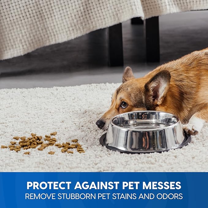 Vacmaster CCS03 Carpet Cleaner Shampoo Solution, 64 oz Spot & Stain Formula for All Carpets, Upholstery & Area Rugs