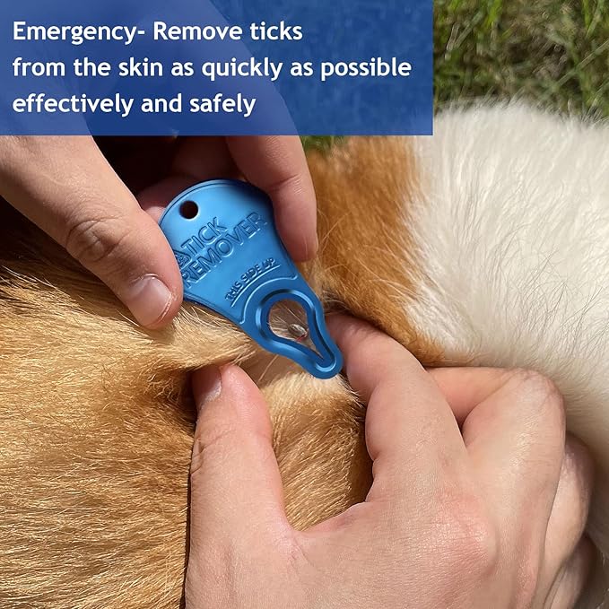 Tick Remover Tool Portable, Tick Removal for Pet and Humans, Safe and Reliable, Pain-Free, Essential Tools for Outdoor Activities- 3 pcs