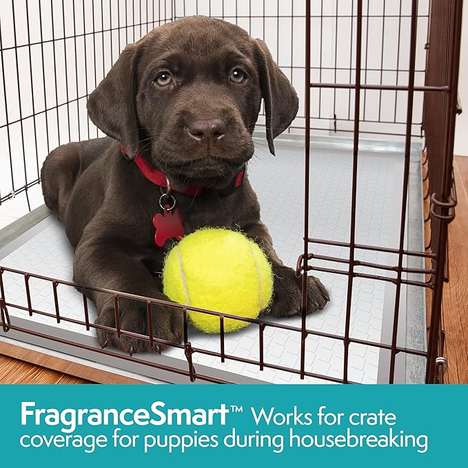 Simple Solution FragranceSmart™ Odor Control Puppy Training Pads | Green Tea Fragrance Odor Neutralizer with Wetness Indicator | 100 ct