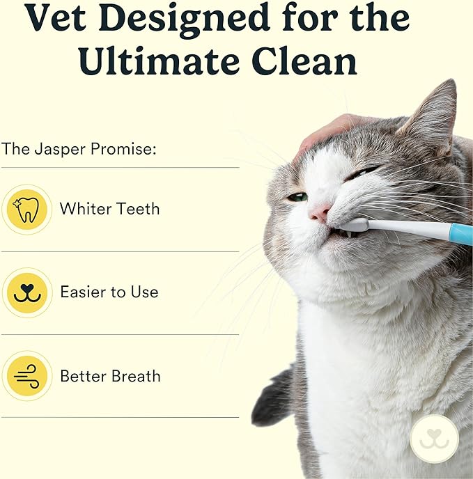 Jasper Microbrush Vet Approved Cat Toothbrush, Soft-Bristled Toothbrush Kit for Felines & Small Dogs, Non-Slip Handle with 2 Replaceable Tooth Brush Heads, Use with Cat Toothpaste