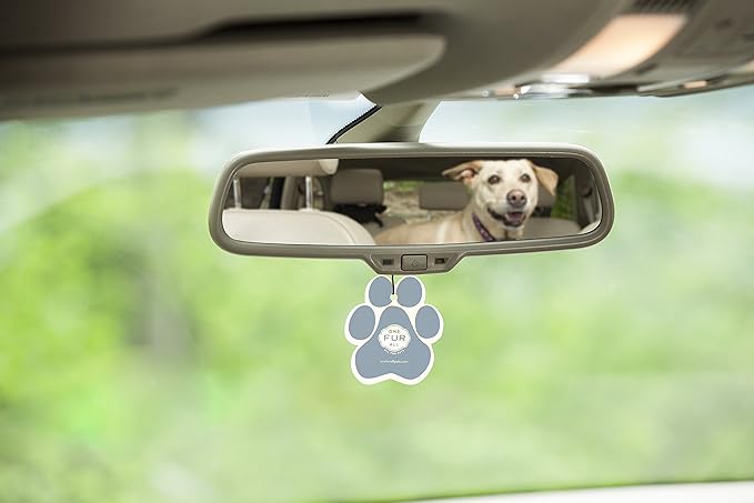 One Fur All Pet House Car Air Freshener by, Pack of 4 – Sunwashed Cotton - Non-Toxic Air Freshener, Pet Odor Eliminating Air Freshener for Car, Ideal for Small Spaces, Dye Free Dog Car Air Freshener
